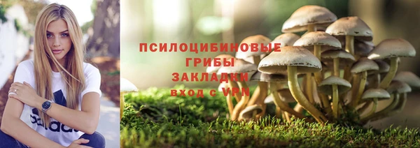 МДПВ Арсеньев