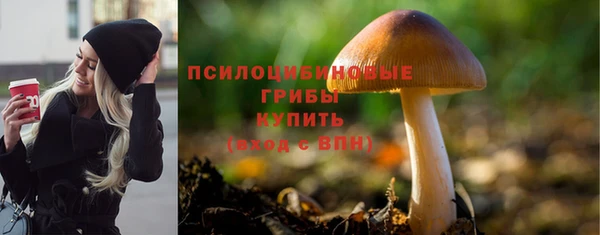 МДПВ Арсеньев