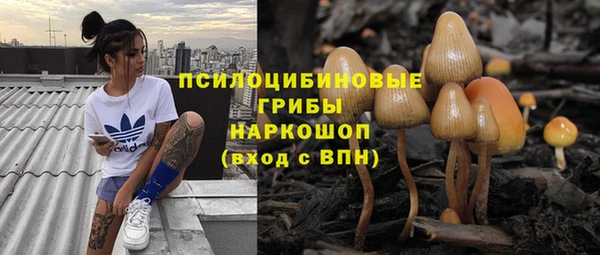 МДПВ Арсеньев